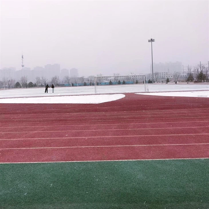 Specialized Hybrid Surface Layer For Extreme Temperature Difference Regions factory