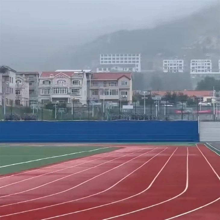 Specialized Hybrid Surface Layer For Extreme Temperature Difference Regions high quality